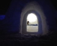 igloo5