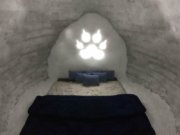 manali-igloo-stay4