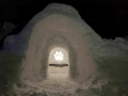 manali-igloo-stay5