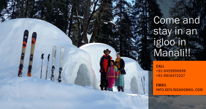 manali igloo stay